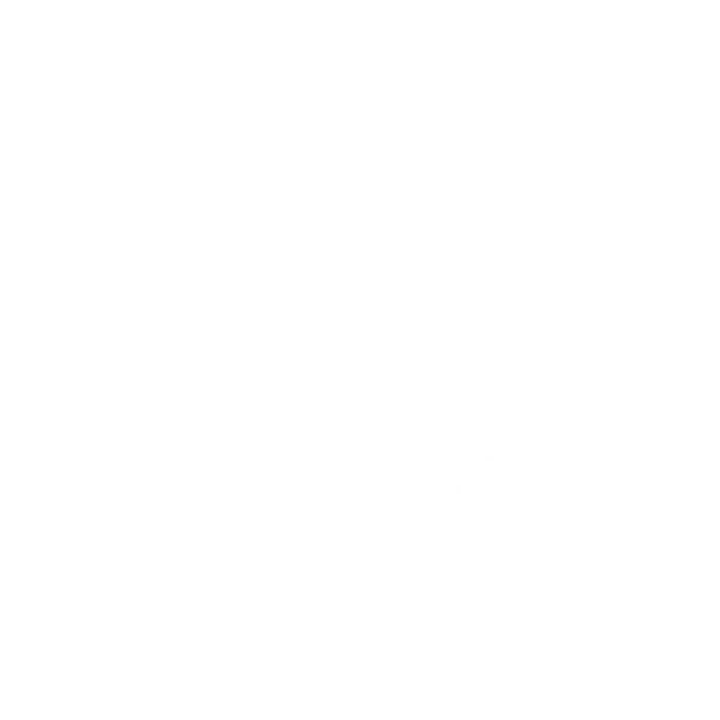 BI Dashboard